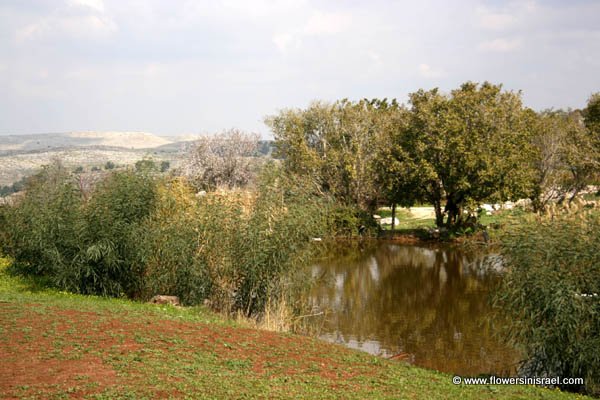 Neot Kedumim - The Biblical Landscape Reserve in Israel
